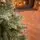 Holandiia Christmas Tree With Blue Tips PE 180 CM საახალწლო ნაძვის ხე, 100% სილიკონი, 7 image