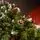 Solenne Christmas Tree 240 CM With Pine Cones And Berries - ნაძვის ხე დათოვლილი ბოლოებით, გირჩით და კენკრით, 16 image