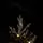 Arctic Snow-Covered Christmas Tree PE 225 CM With Lights - დათოვლილი ნაძვის ხე 100% სილიკონის წიწვებით, 5 image