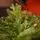 Nordora Christmas Tree PE+PVC 180 CM With Mixed Silicone Needle - ნაძვის ხე შერეული სილიკონის წიწვებით, 8 image