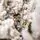 Serenia Snow-Covered Christmas Tree PE+PVC 210 CM With Mixe Silicone Needle - დათოვლილი ნაძვის ხე შერეული სილიკონის წიწვებით, 11 image