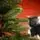 Premium Christmas Tree PE 200 CM ნაძვის ხე 100% სილიკონი, 13 image