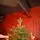 Snowspire Christmas Tree PE+PVC 210 CM  With Mixed Silicone Needle - ნაძვის ხე შერეული სილიკონის წიწვებით, 3 image