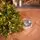 Everwyn Christmas Tree  90 CM 100% Silicone Needle With Lights - ნაძვის ხე 100% სილიკონის წიწვებით და განათებით, 11 image