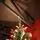 Solenne Christmas Tree 240 CM With Pine Cones And Berries - ნაძვის ხე დათოვლილი ბოლოებით, გირჩით და კენკრით, 3 image