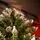 Solenne Christmas Tree 240 CM With Pine Cones And Berries - ნაძვის ხე დათოვლილი ბოლოებით, გირჩით და კენკრით, 10 image