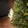 Holandiia Christmas Tree With Olive Tips PE 250 CM საახალწლო ნაძვის ხე, 100% სილიკონი, 14 image
