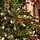 Solenne Christmas Tree 240 CM With Pine Cones And Berries - ნაძვის ხე დათოვლილი ბოლოებით, გირჩით და კენკრით, 7 image