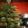 Premium Christmas Tree PE 200 CM ნაძვის ხე 100% სილიკონი, 7 image