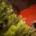 Holandiia Christmas Tree With Olive Tips PE 250 CM საახალწლო ნაძვის ხე, 100% სილიკონი, 7 image