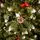 Frostmere Christmas Tree 180 CM With Pine Cones And Berries - ნაძვის ხე დათოვლილი ბოლოებით, გირჩით და კენკრით, 15 image