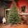Royal Christmas Tree With Lights PE 250 CM - ნაძვის ხე 100% სილიკონის წიწვებით
