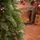 Premium Christmas Tree PE 200 CM ნაძვის ხე 100% სილიკონი, 10 image