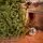 Christmas Tree 100% Silicone PE 240 CM  - ნაძვის ხე 100% სილიკონი, 4 image