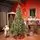 Solenne Christmas Tree 240 CM With Pine Cones And Berries - ნაძვის ხე დათოვლილი ბოლოებით, გირჩით და კენკრით