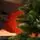 Premium Christmas Tree PE 200 CM ნაძვის ხე 100% სილიკონი, 12 image