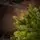 Snowspire Christmas Tree PE+PVC 210 CM  With Mixed Silicone Needle - ნაძვის ხე შერეული სილიკონის წიწვებით, 12 image