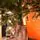 Premium Christmas Tree PE 200 CM ნაძვის ხე 100% სილიკონი, 17 image