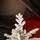 Celestine Snow-Covred Christmas Tree PE+PVC 210 CM With Mixed Silicone Needle And Lights - დათოვლილი ნაძვის ხე შერეული სილიკონის წიწვებით და განათებით, 5 image