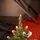 Winterwood Christmas Tree 210 CM With Pine Cones And Berries - ნაძვის ხე დათოვლილი ბოლოებით, გირჩით და კენკრით, 3 image