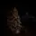 Celestine Snow-Covred Christmas Tree PE+PVC 210 CM With Mixed Silicone Needle And Lights - დათოვლილი ნაძვის ხე შერეული სილიკონის წიწვებით და განათებით, 3 image