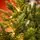 Everwyn Christmas Tree  90 CM 100% Silicone Needle With Lights - ნაძვის ხე 100% სილიკონის წიწვებით და განათებით, 5 image