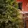 Holandiia Christmas Tree With Olive Tips PE 250 CM საახალწლო ნაძვის ხე, 100% სილიკონი, 5 image