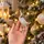 Aurora Pearl Crane Hanging Decoration - ნაძვის ხის სათამაშო