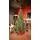 Solenne Christmas Tree 240 CM With Pine Cones And Berries - ნაძვის ხე დათოვლილი ბოლოებით, გირჩით და კენკრით, 2 image