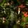 Champagne Pine Christmas Tree 210 CM  ნაძვის ხე 100 % სილიკონი, 13 image