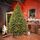 Holandiia Christmas Tree With Olive Tips PE 250 CM საახალწლო ნაძვის ხე, 100% სილიკონი