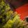 Holandiia Christmas Tree With Olive Tips PE 250 CM საახალწლო ნაძვის ხე, 100% სილიკონი, 7 image