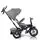 Byox Jockey With Music Tray Beige Stars სასეირნო ველო-ეტლი, 7 image