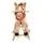 Cangaroo Plush rocking horse Thunder WJ-001 ფუმფულა სარწეველა ცხენი, 2 image