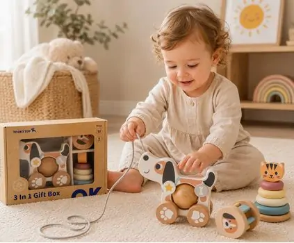 Tooky Toy 3 In 1 Gift Box - ხის განსავითარებელი სათამაშოების ნაკრები