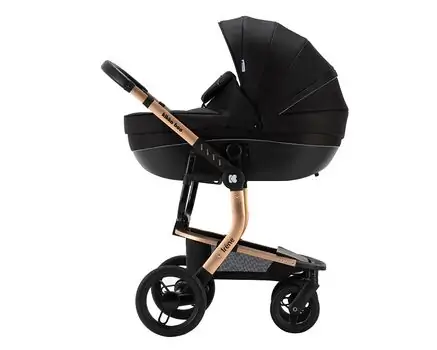 KikkaBoo Irene Black 4in1 საბავშვო ეტლის კომპლექტი, 2 image