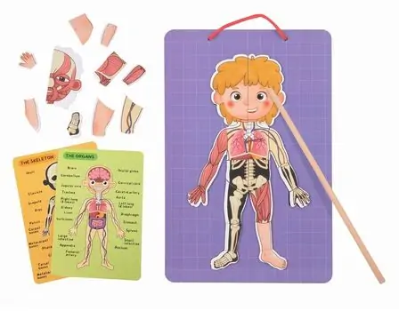 Tooky Toy Body Magnetic Chart TH842 - სათამაშო ადამიანის სხეულის ნაწილები