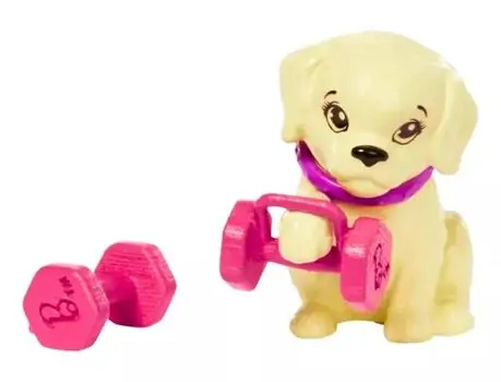 Barbie GKH73 Fabulous Wellness Doll  - ბარბის სათამაშო თოჯინა, 6 image