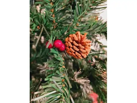 Christmas Tree With Pine Cones And Berries საახალწლო ნაძვის ხე დათოვლილი ბოლოებით, კენკრით და გირჩით 210 სმ (OT648), 2 image