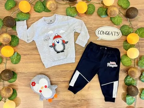 Little Cute Penguin Set 2in1 Grey 122036 ALG თბილი ორეული