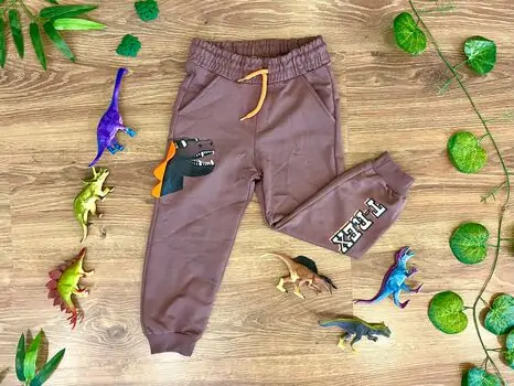 T-REX DINOSAUR ALG 223641 საბავშვო სპორტული შარვალი BROWN