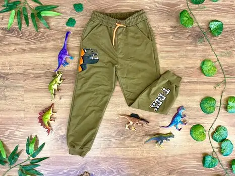 T-REX DINOSAUR ALG 223641 საბავშვო სპორტული შარვალი GREEN