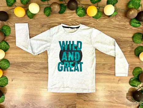 WILD AND GREAT ALG 323411 საბავშვო გრძელ მკლავიანი მაისური Grey