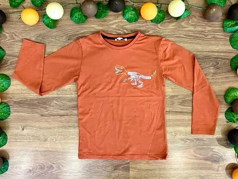 DINOSAUR ALG 323407 საბავშვო გრძელ მკლავიანი მაისური Orange