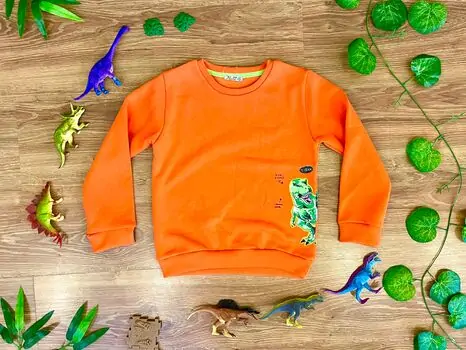DINOSAUR ALG 223596 საბავშვო გრძელ მკლავიანი მაისური ORANGE