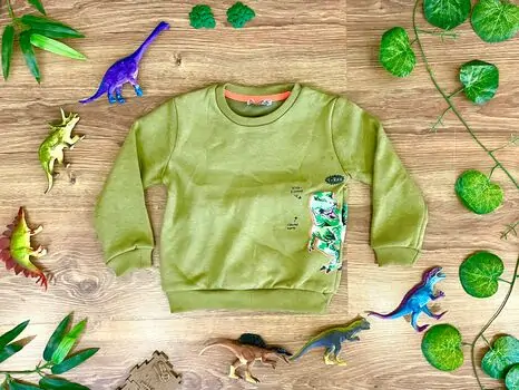 DINOSAUR ALG 223596 საბავშვო გრძელ მკლავიანი მაისური GREEN