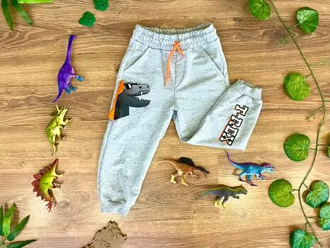 T-REX DINOSAUR ALG 223641 საბავშვო სპორტული შარვალი GREY