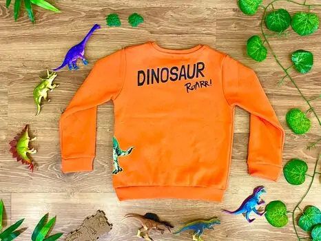 DINOSAUR ALG 223596 საბავშვო გრძელ მკლავიანი მაისური ORANGE, 2 image