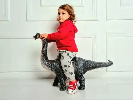 Mount one meter giant Brachiosaurus 7076 გადასაჯდომი დინოზავრი, 3 image