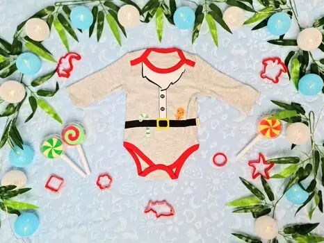 Gingerbread Baby BEBIO 2170 ჩვილის ბოდე Grey